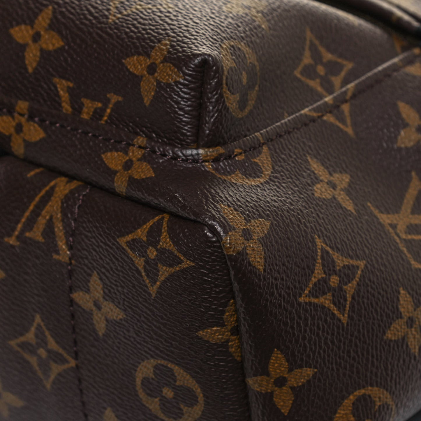 Monogram Palm Springs Backpack PM