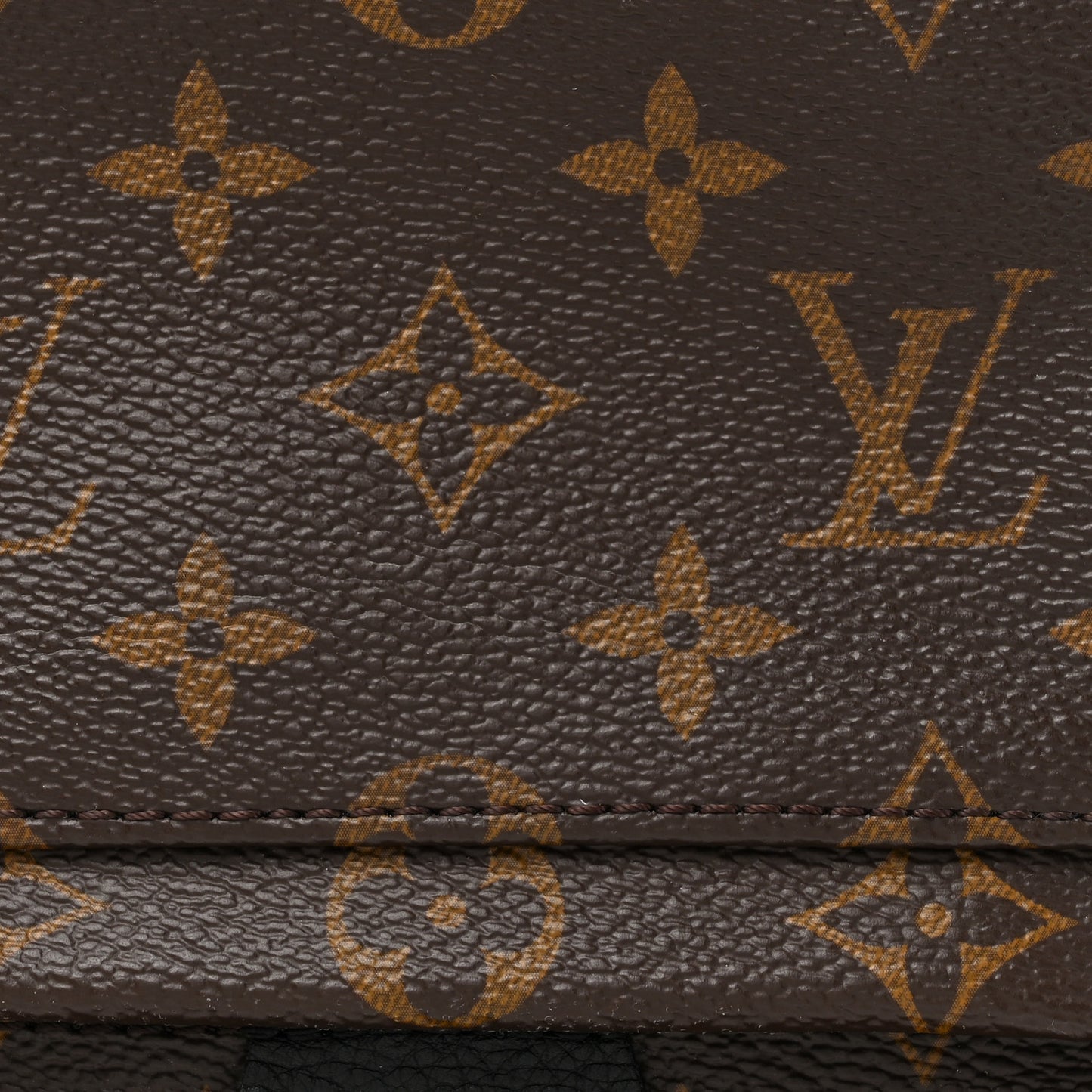 Monogram Palm Springs Backpack Mini