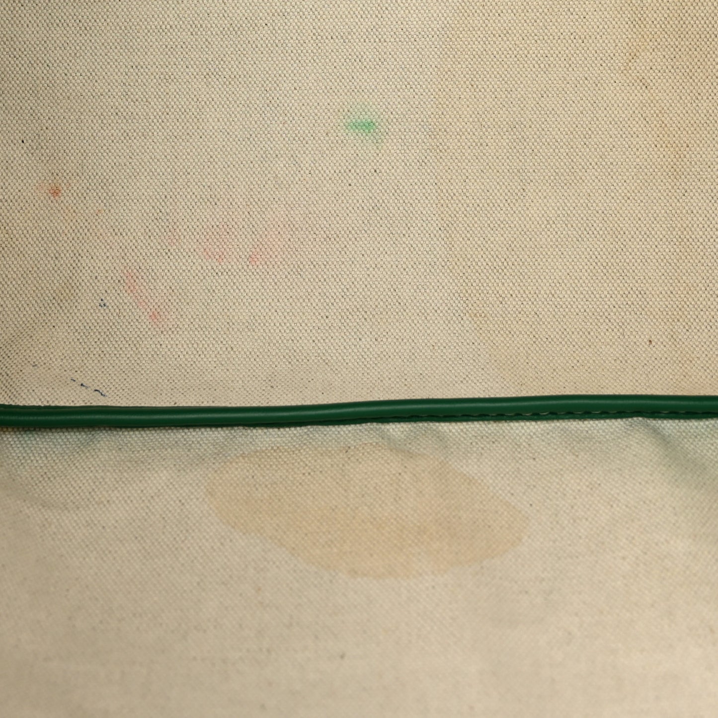 Goyardine Saint Louis PM Green