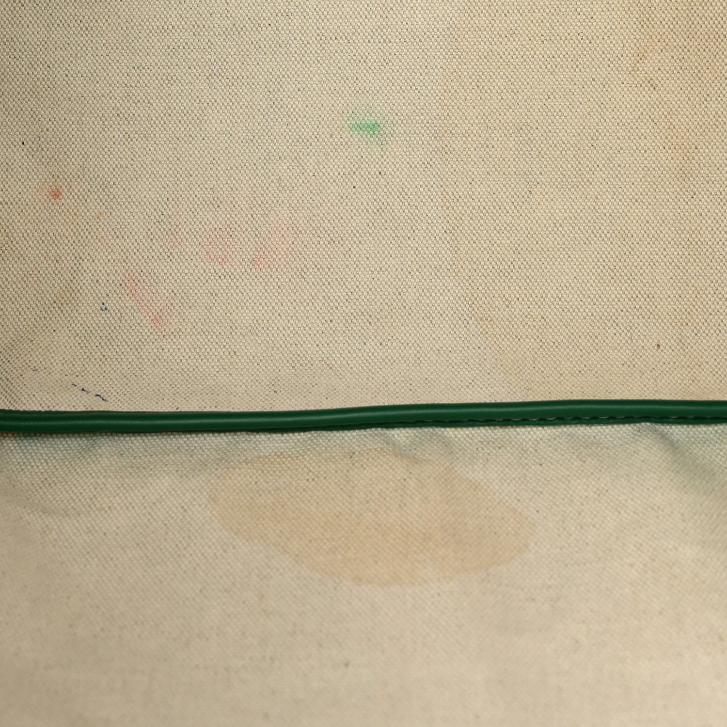 Goyard Goyardine Saint Louis PM Green 13 of 15