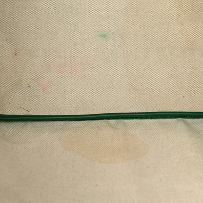 Goyard Goyardine Saint Louis PM Green 13 of 15