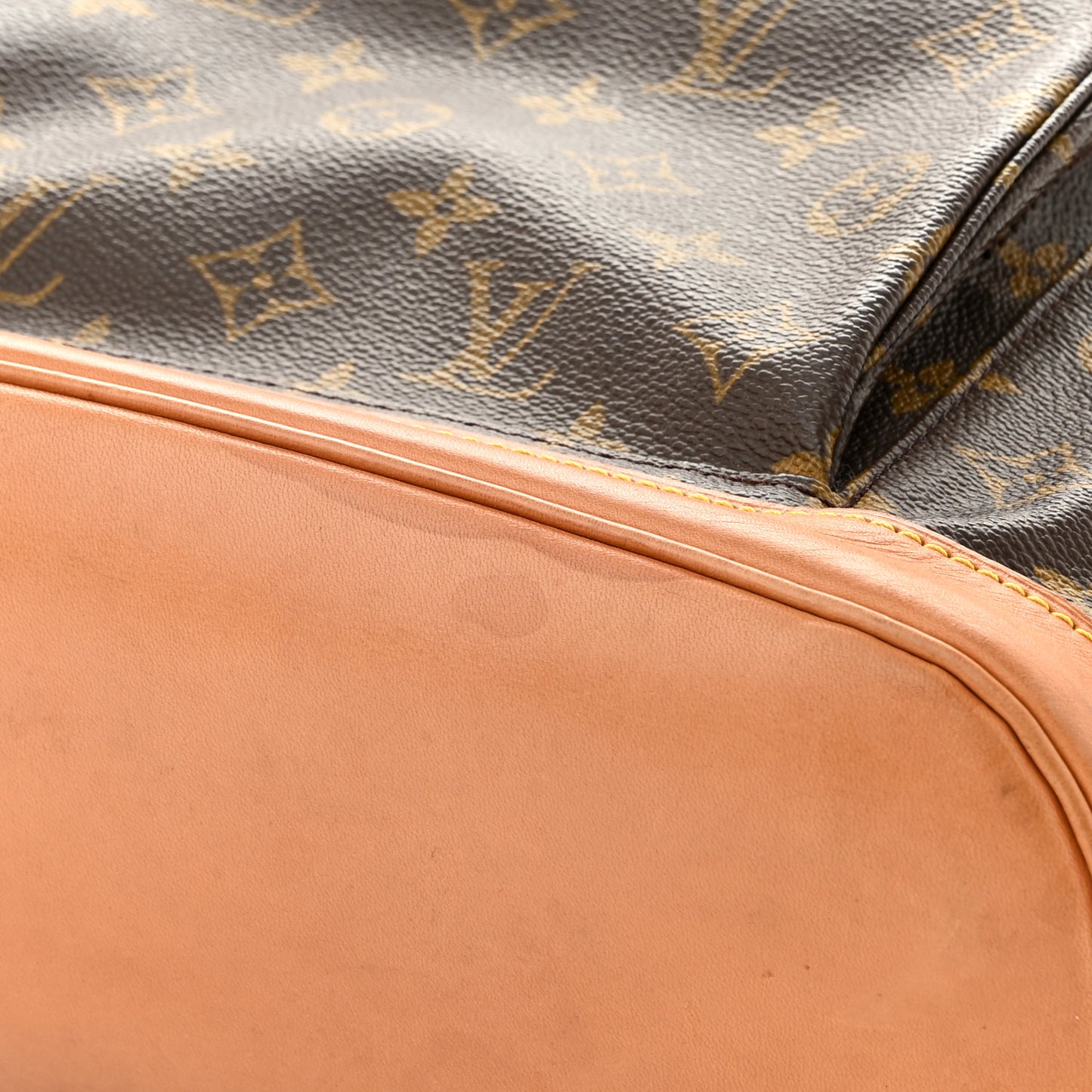 Monogram Montsouris GM Backpack