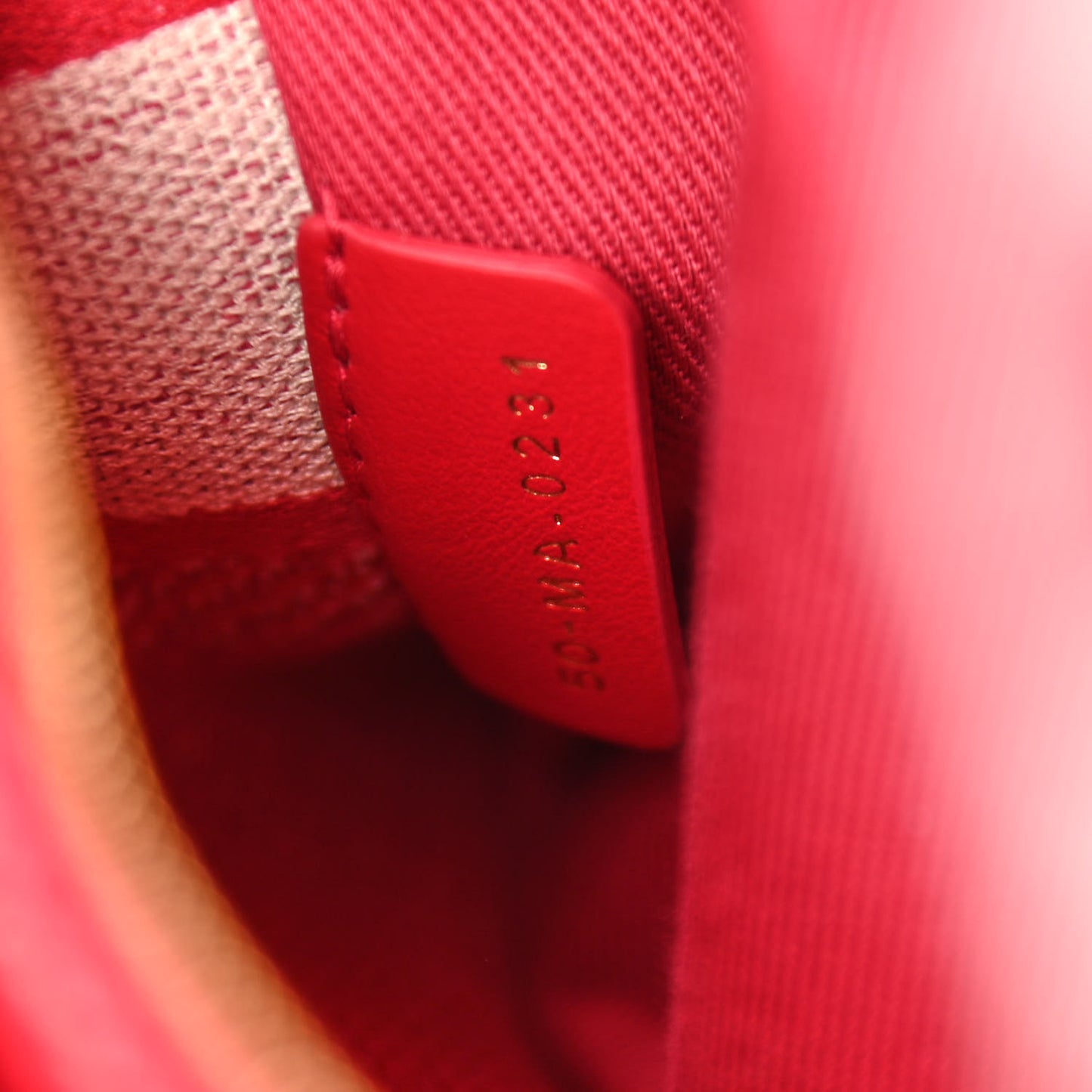 Canvas Toile De Jouy Reverse Embroidered Medium Lady D-Lite Red