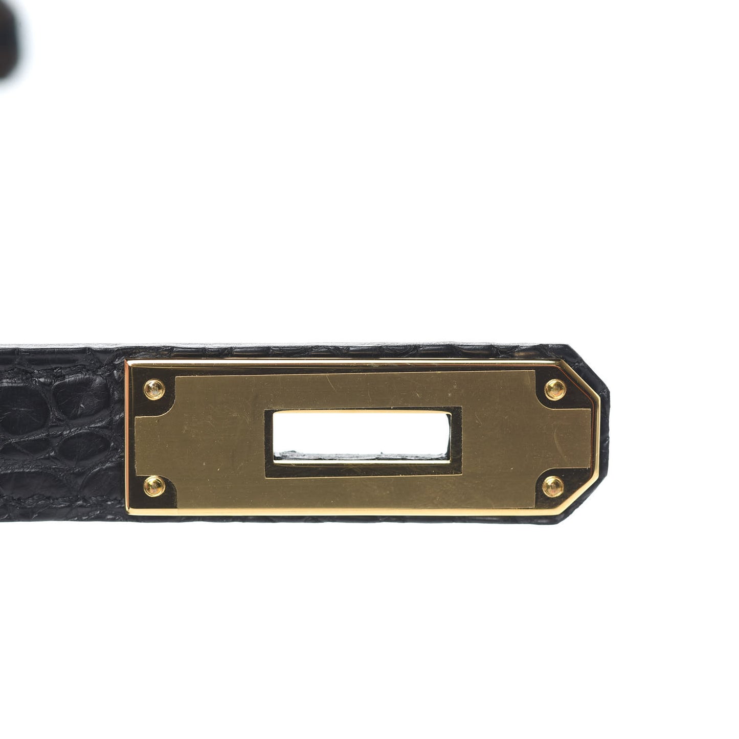 Togo Matte Alligator Birkin Touch 30 Black