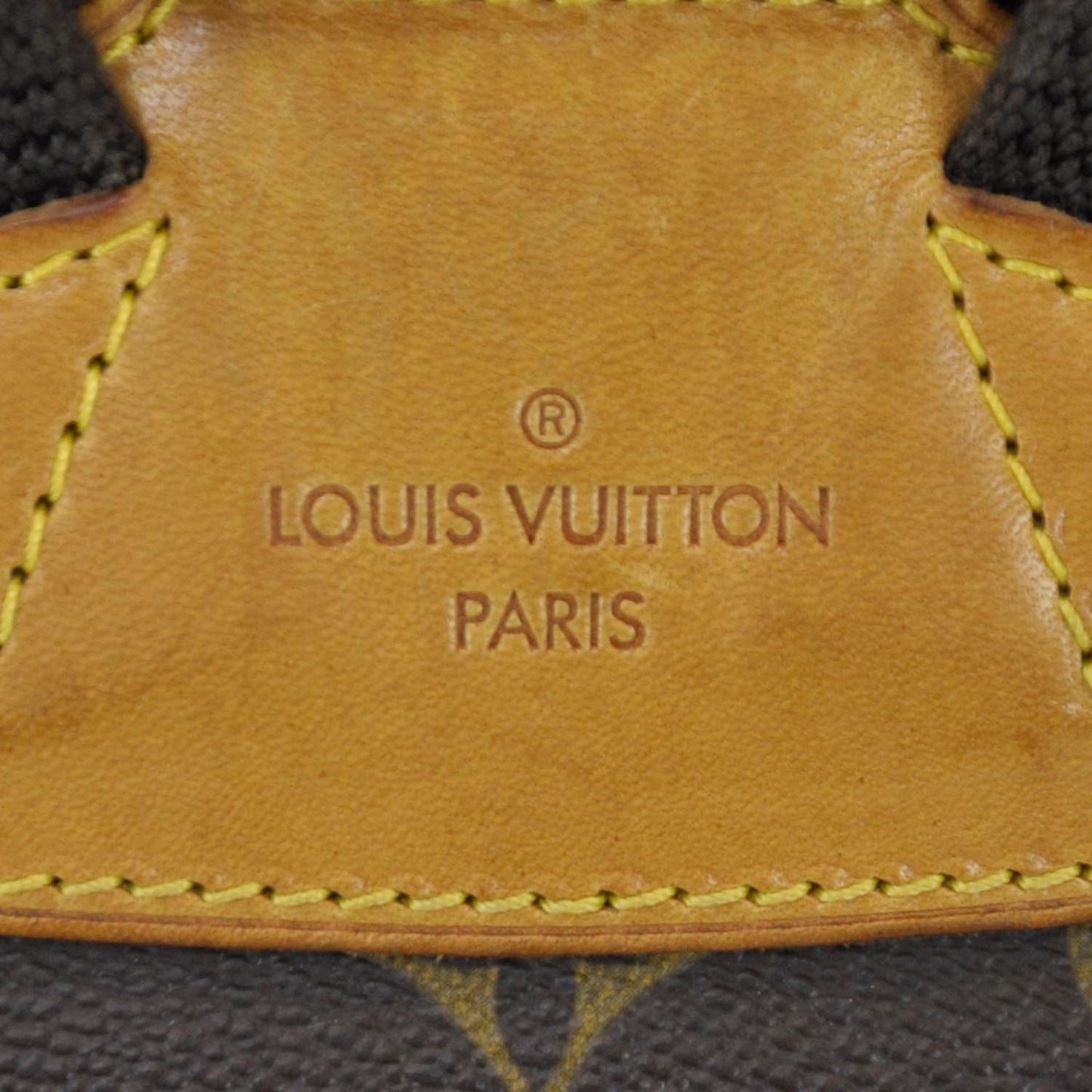 Monogram Montsouris GM Backpack