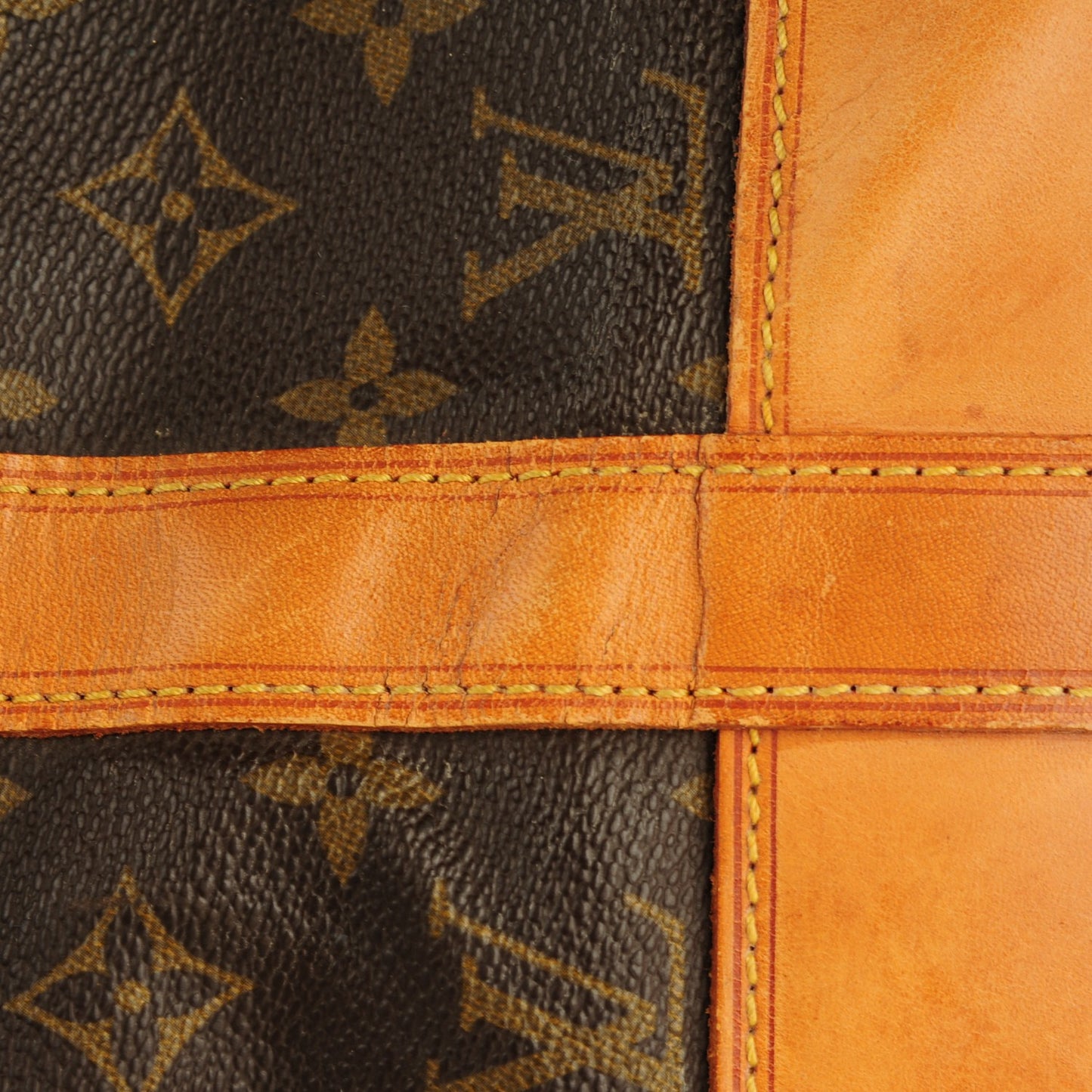 Monogram Randonnee GM Backpack