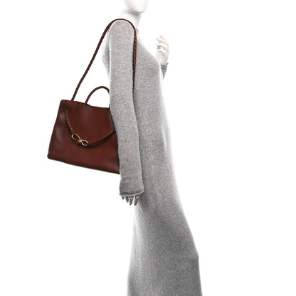 Bottega Veneta Silky Calfskin Medium Andiamo Shoulder Bag Sapele Redstone 2 of 9