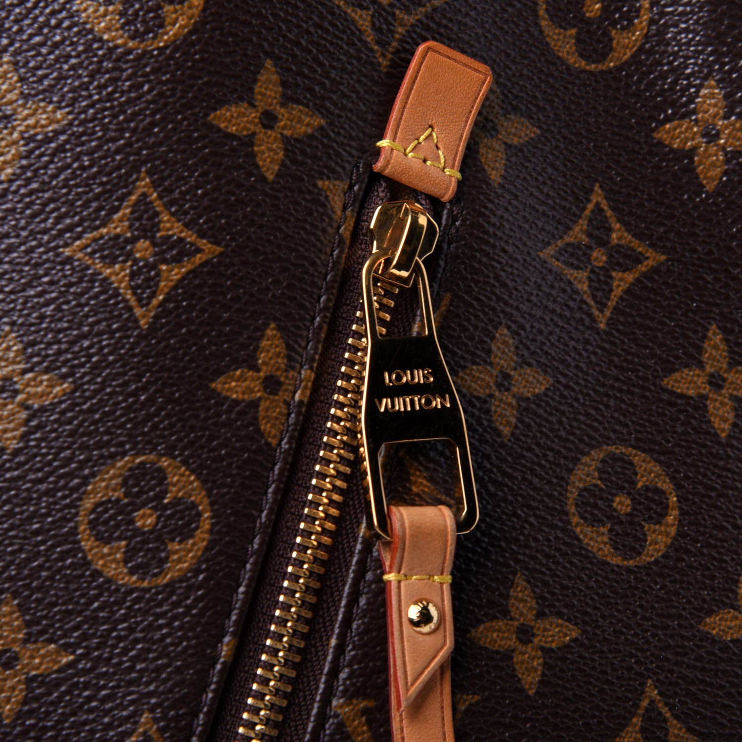 Louis Vuitton Monogram Delightful GM 10 of 12
