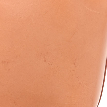 Mansur Gavriel Vegetable Tanned Calfskin Mini Bucket Bag Camello Rosa 10 of 10