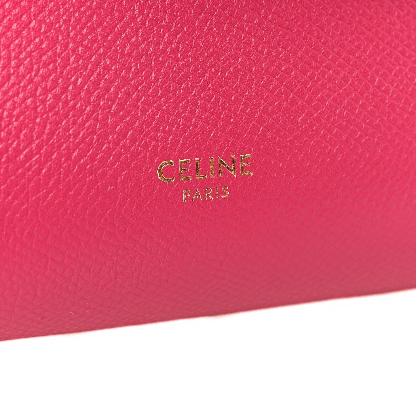 Grained Calfskin Nano Belt Bag Raspberry