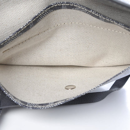 Goyard Goyardine Saint Louis PM Grey 7 of 18
