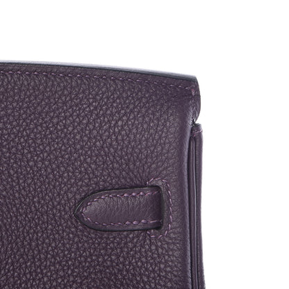 Hermes Togo Birkin 25 Raisin 18 of 34
