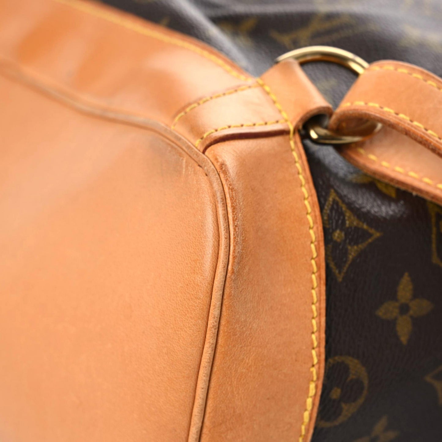 Monogram Montsouris GM Backpack