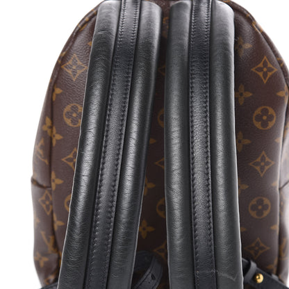 Louis Vuitton Monogram Palm Springs Backpack PM 10 of 18