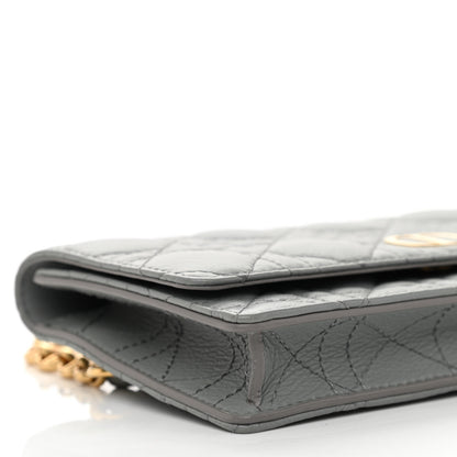 Christian Dior Supple Calfskin Caro Belt Bag Grey 9 of 10