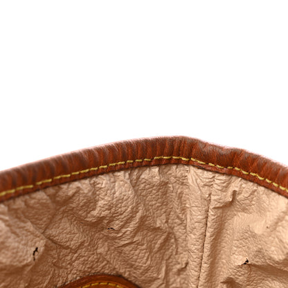 Louis Vuitton Monogram Petit Bucket 23 12 of 14