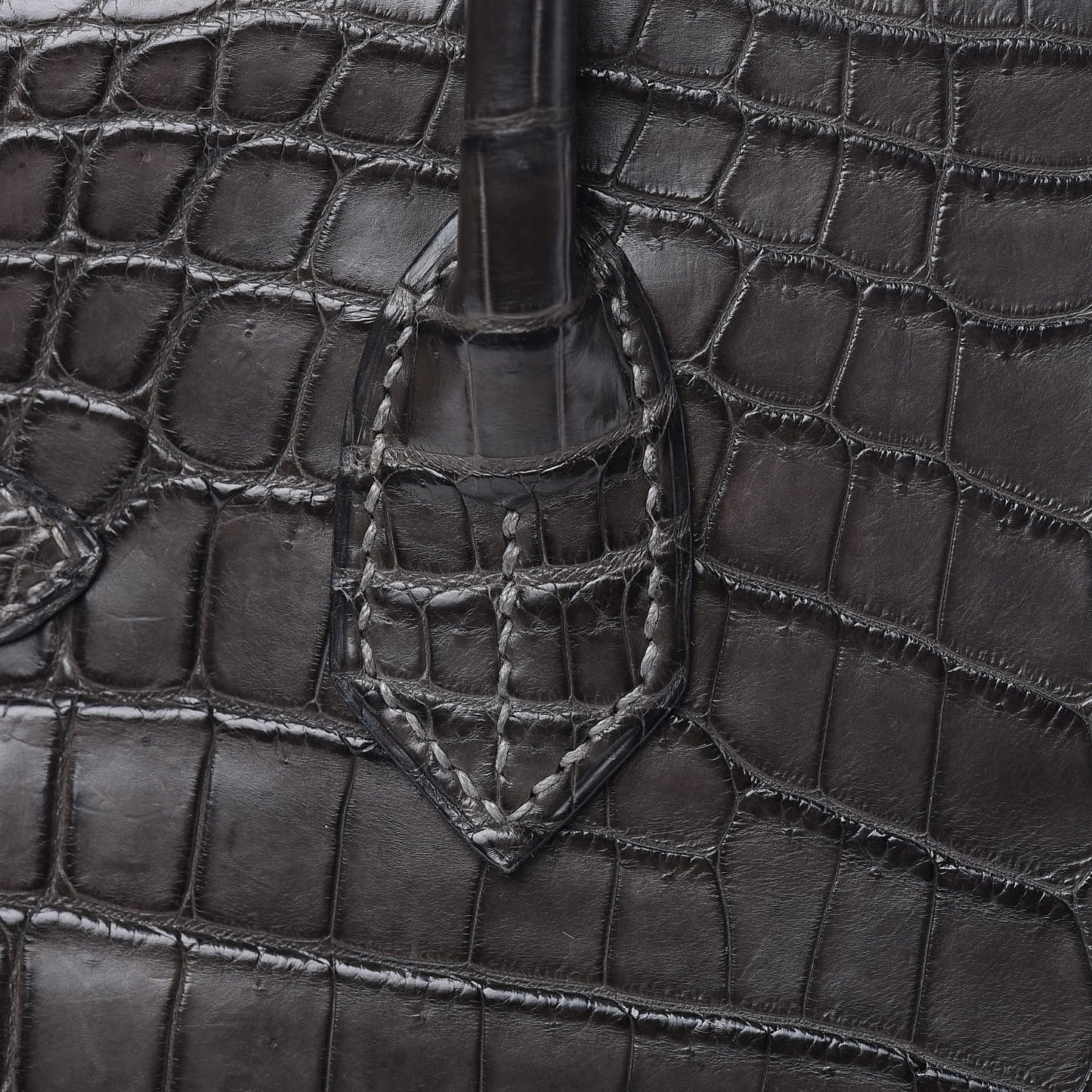 Matte Niloticus Crocodile Birkin 30 Gris Elephant