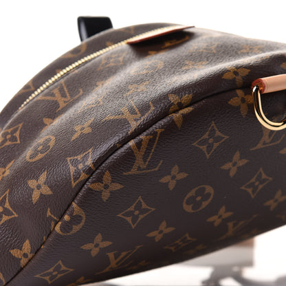Louis Vuitton Monogram Bumbag 9 of 11