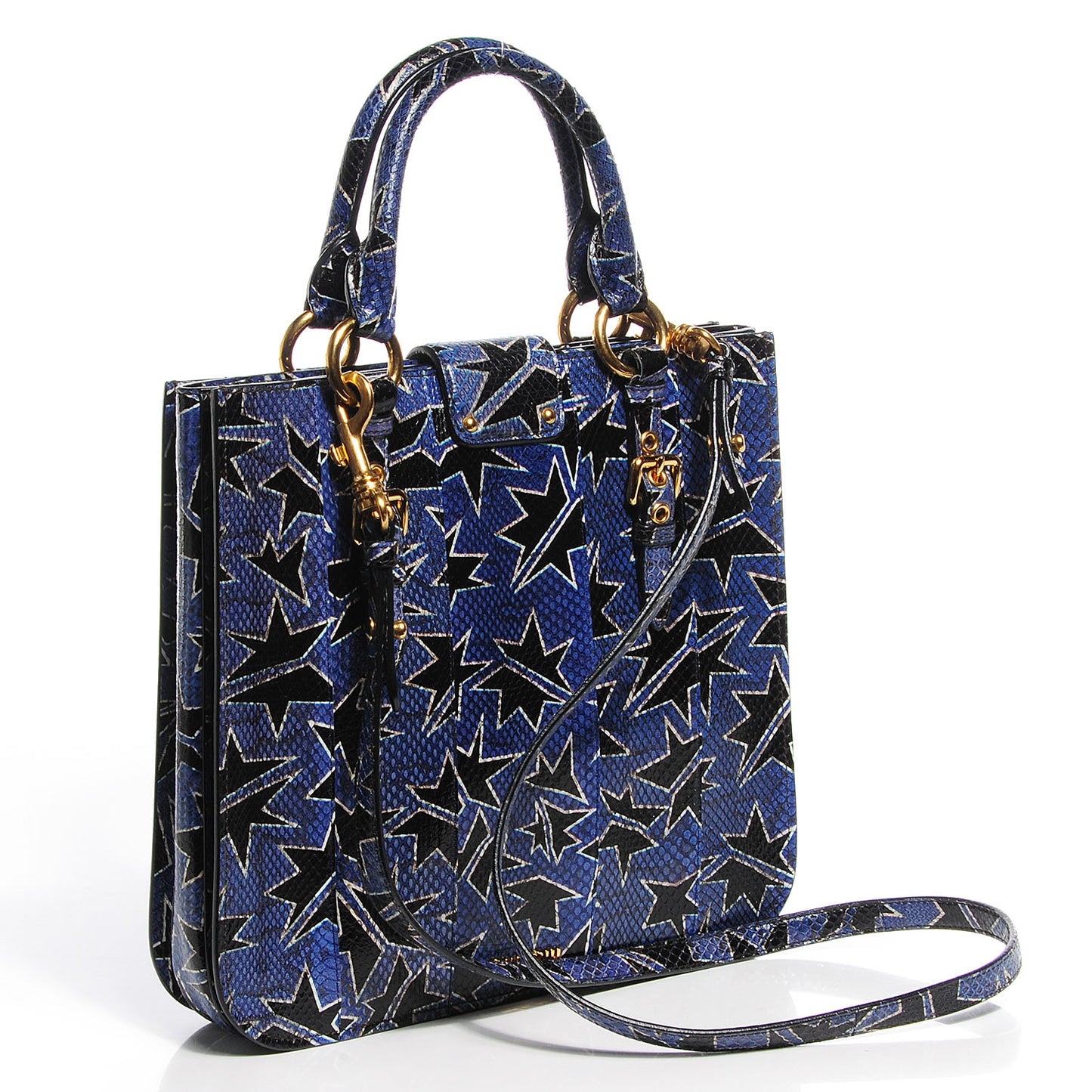 Hand Painted Ayers Watersnake Shopping Tote