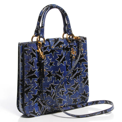 Miu Miu Hand Painted Ayers Watersnake Shopping Tote 3 of 9