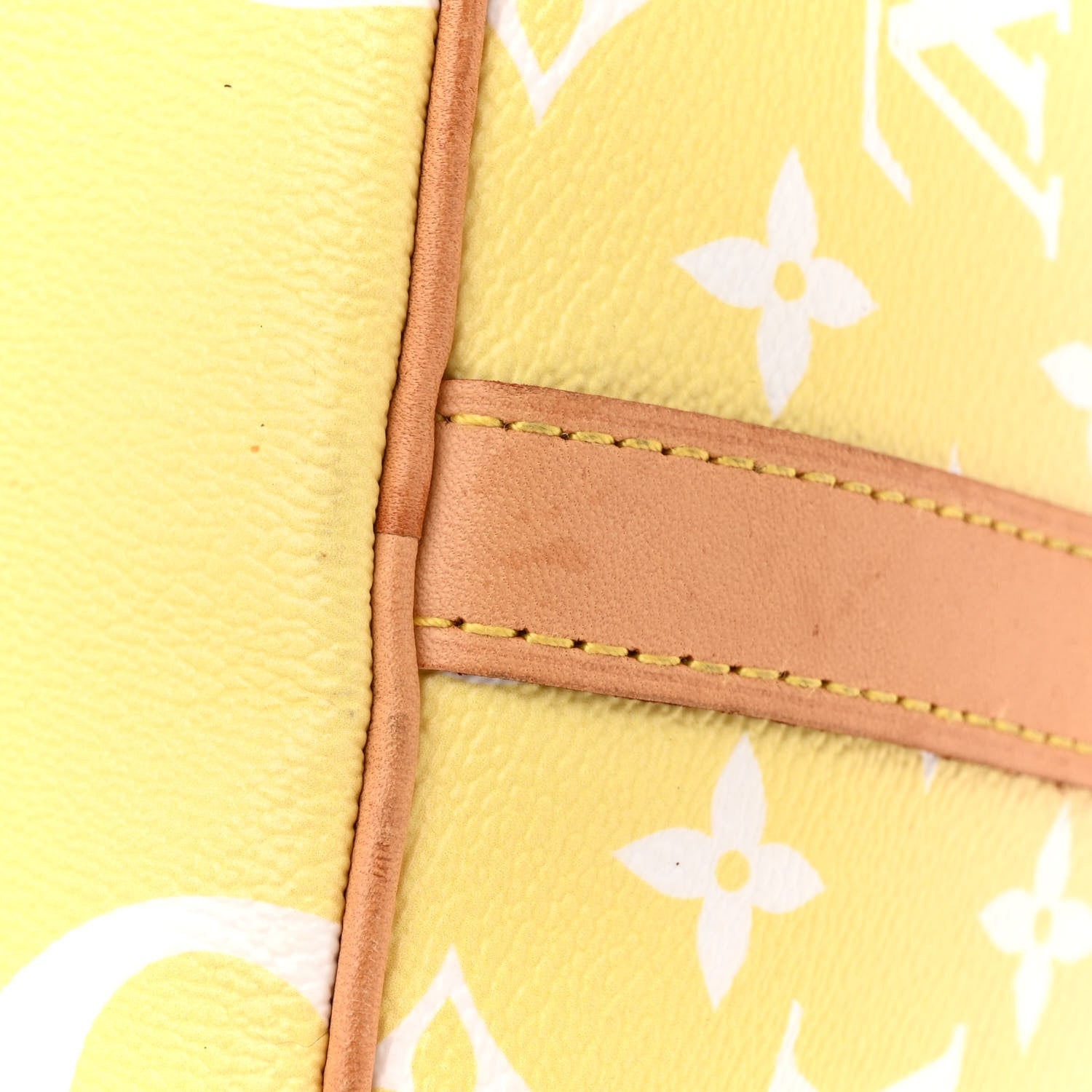 Louis Vuitton Monogram Giant By The Pool Speedy Bandouliere 25 Light Pink 17 of 19