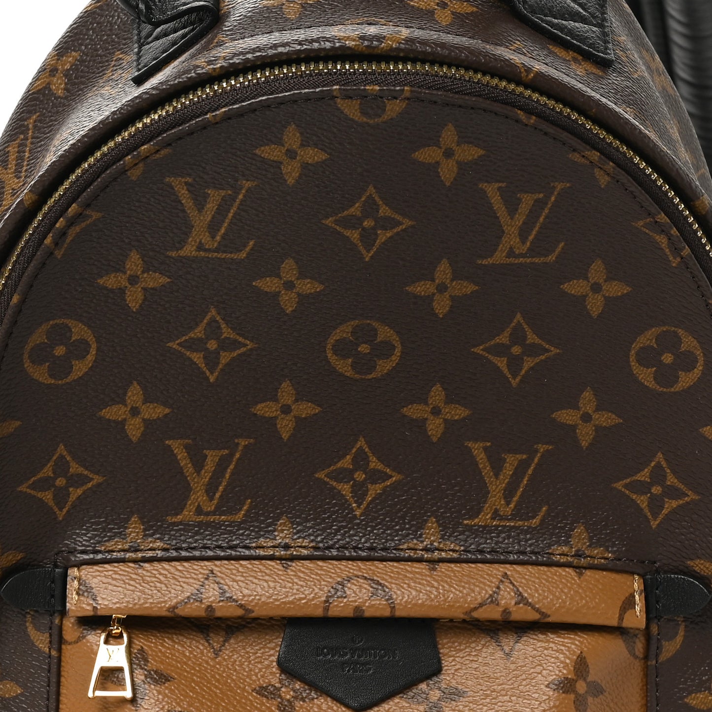 Reverse Monogram Palm Springs Backpack PM