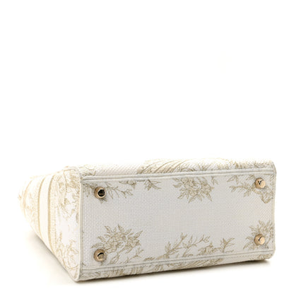 Christian Dior Canvas Embroidered Jardin D'Hiver Medium Lady D-Lite White Gold 4 of 12