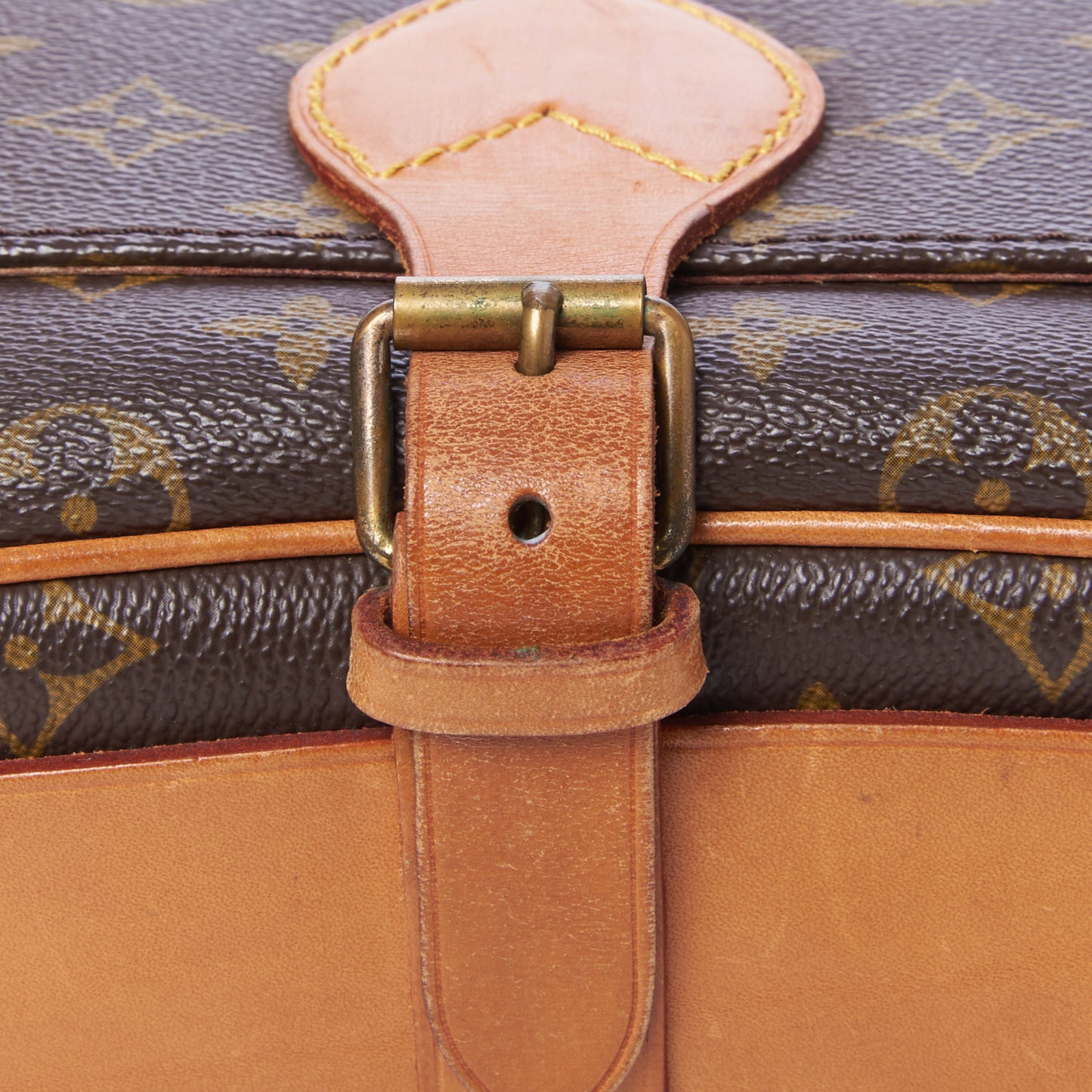 Monogram Cartouchiere 22