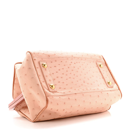 Louis Vuitton Ostrich Frame Speedy Pink 4 of 13