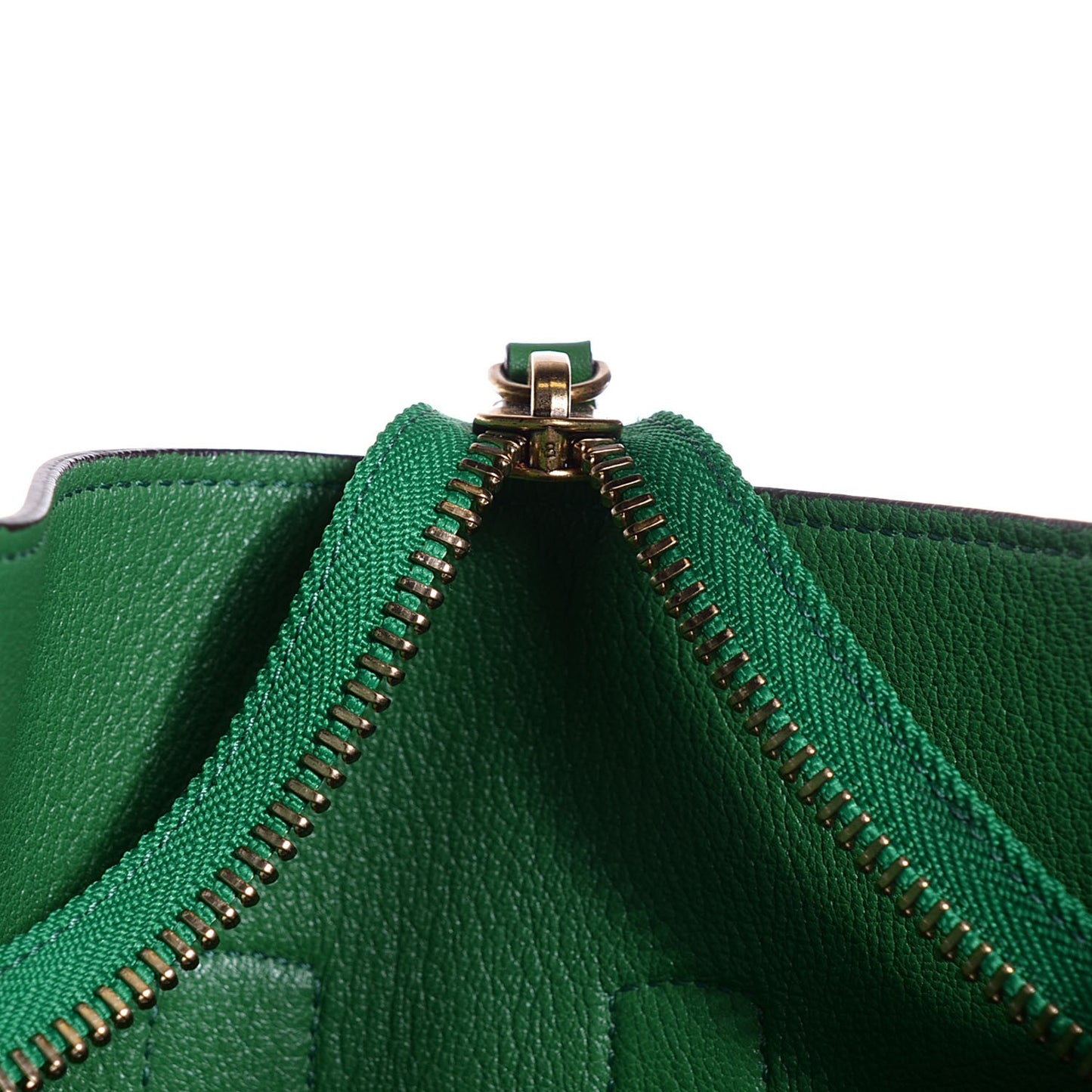 Palmelato Calfskin Mini Luggage Grass Green
