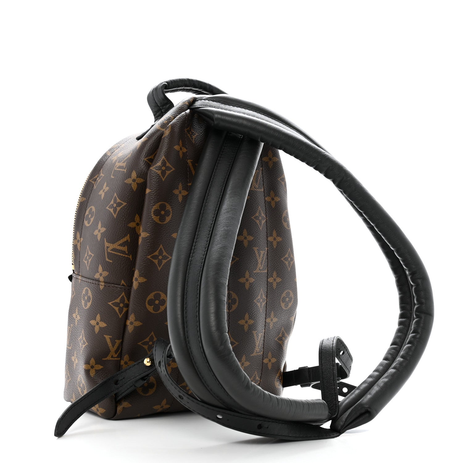 Louis Vuitton Monogram Palm Springs Backpack PM 2 of 9