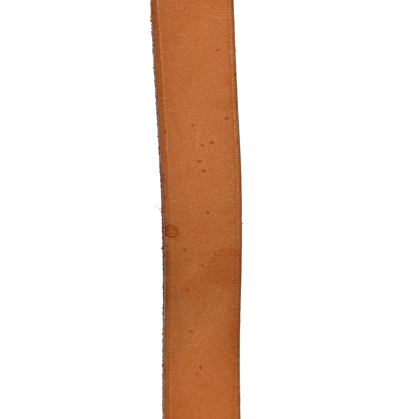 Monogram Cartouchiere 22