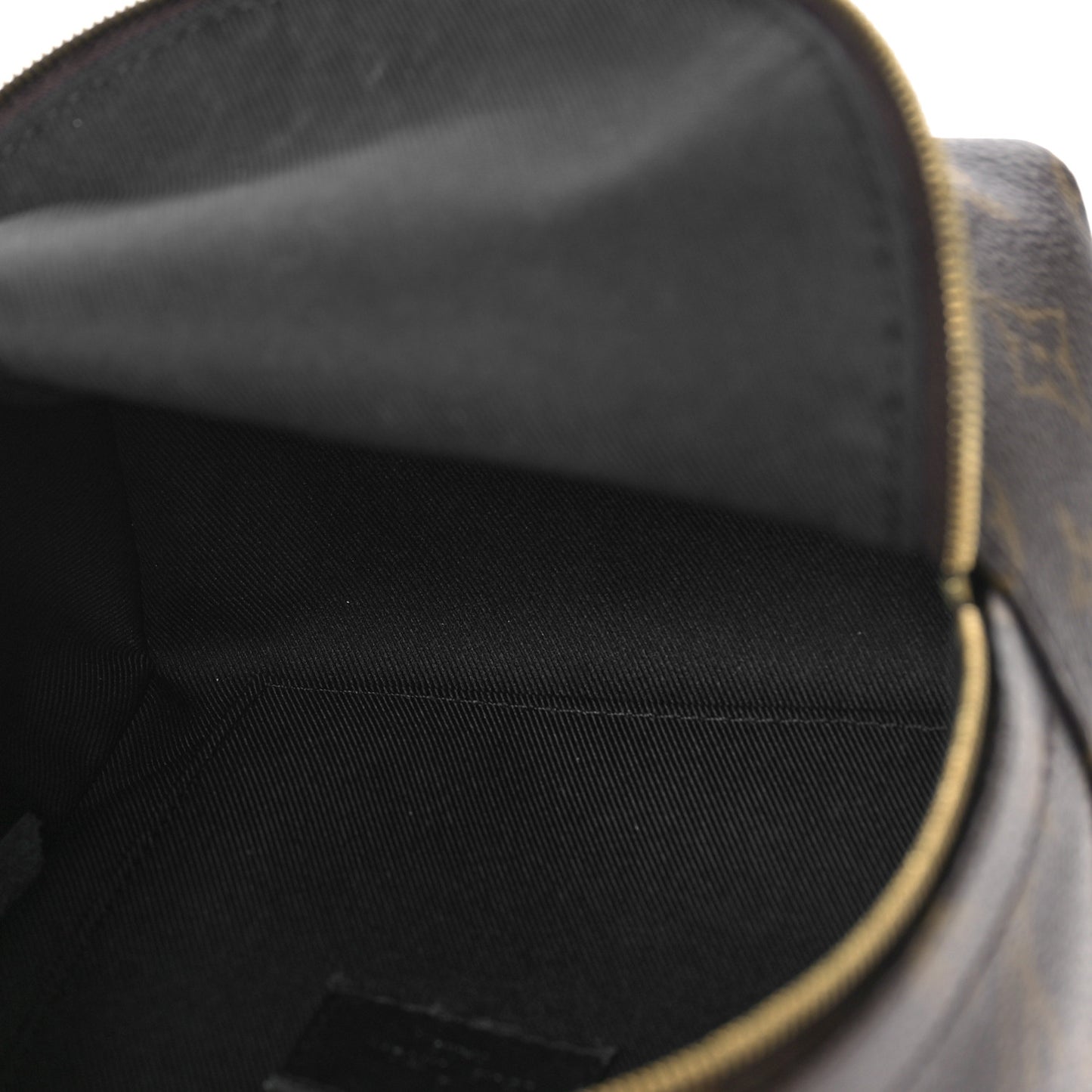 Monogram Palm Springs Backpack Mini