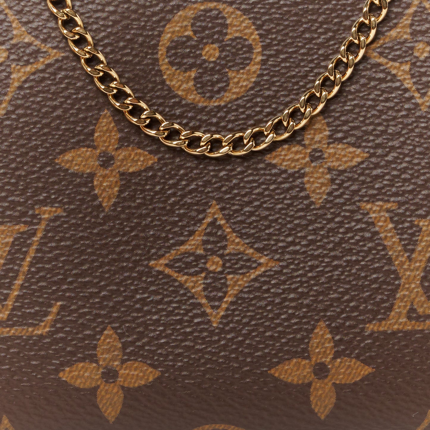 Monogram Mini Pochette Accessories
