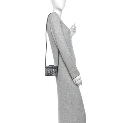 Goyard Goyardine Muse Nano Vanity Case Grey 2 of 10