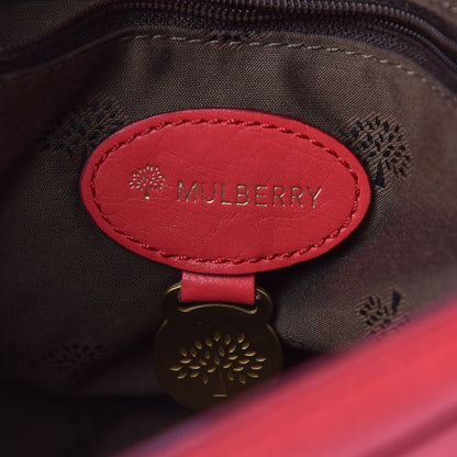 Mulberry Soft Buffalo Mini Alexa Watermelon 6 of 15