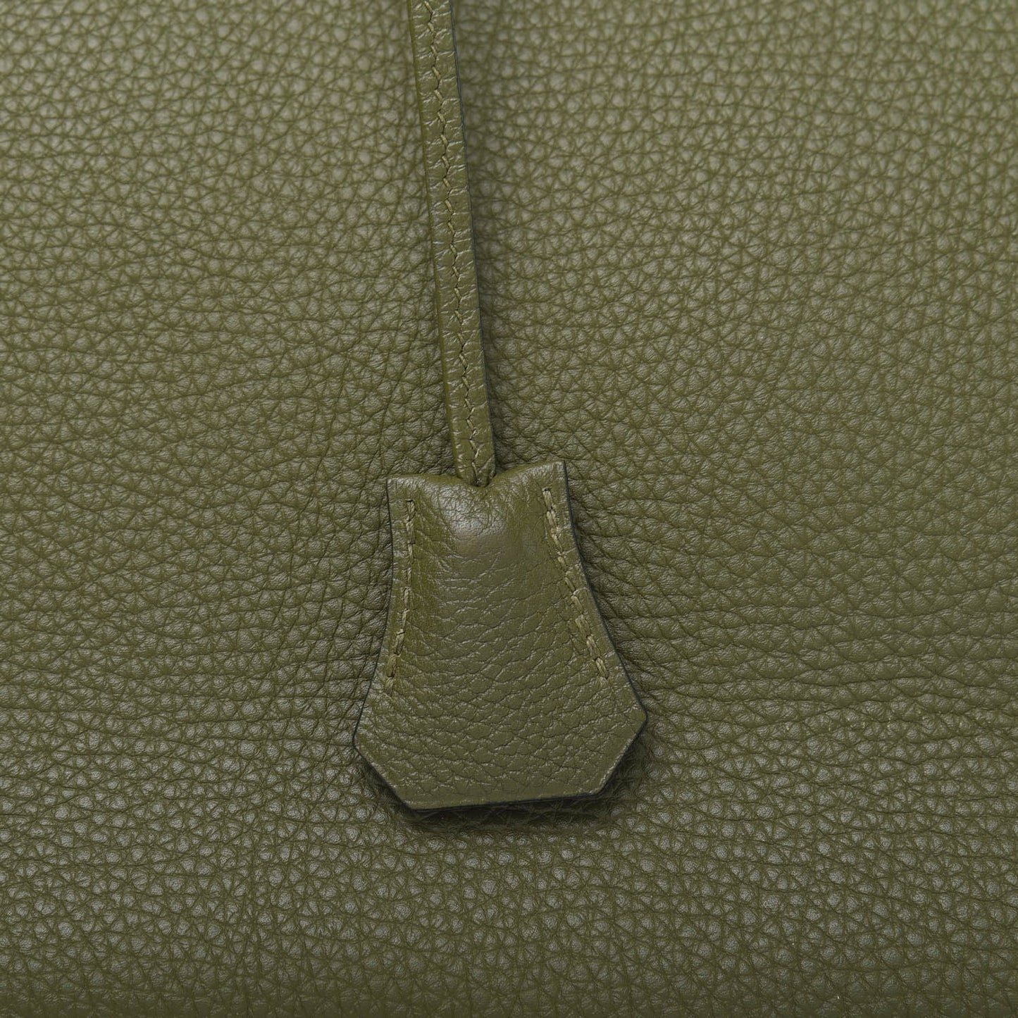 Togo Birkin 35 Canopee