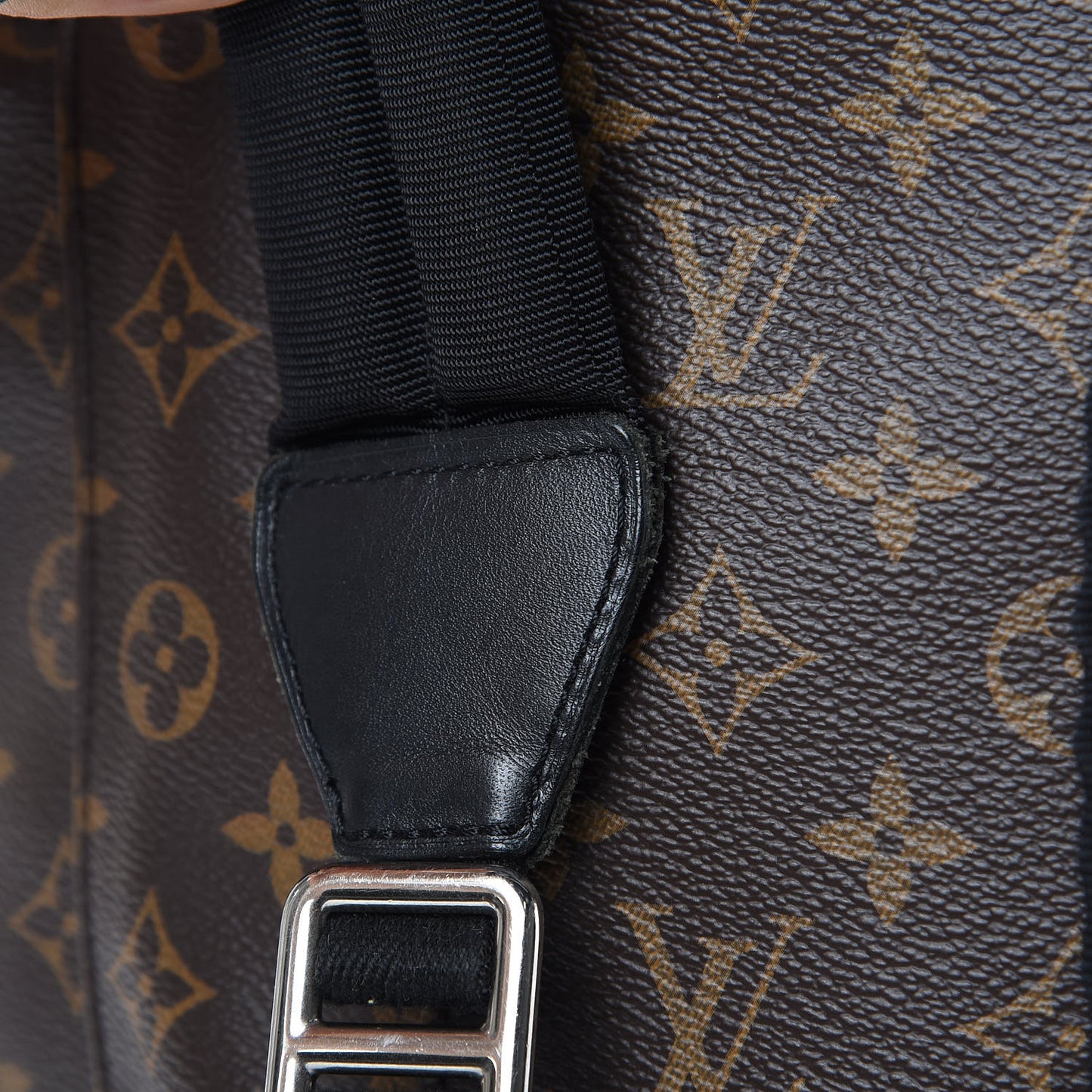 Monogram Macassar Christopher PM Backpack