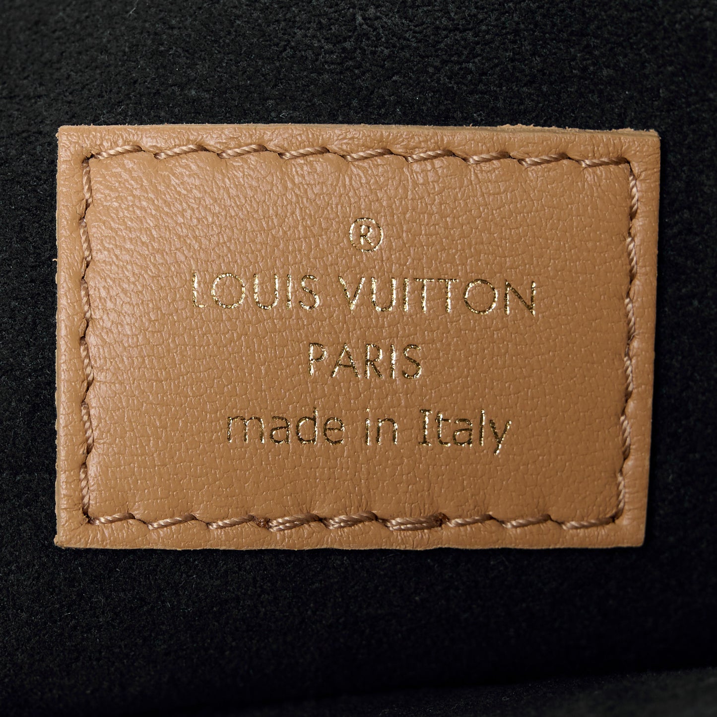Lambskin Embossed Monogram Coussin PM Camel