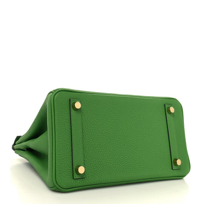 Hermes Togo Birkin 25 Vert Yucca 4 of 12