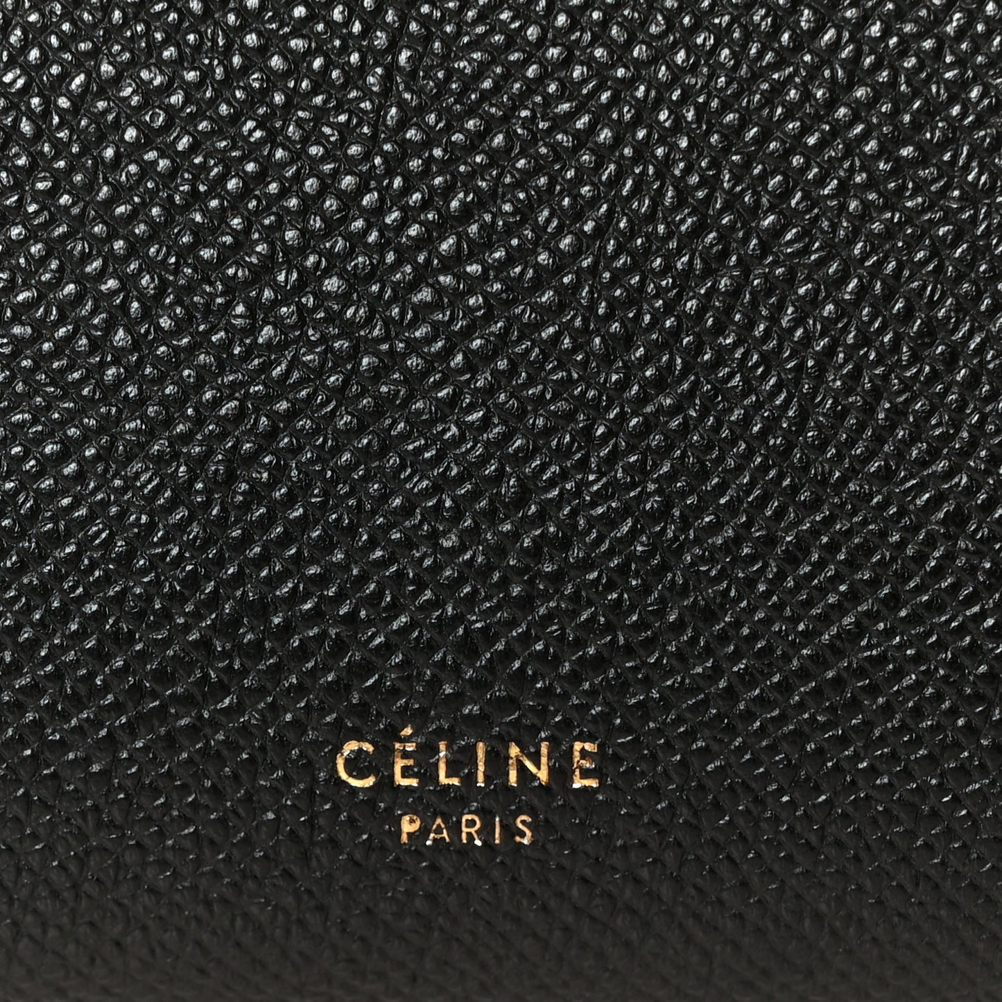 Grained Calfskin Mini Belt Bag Black