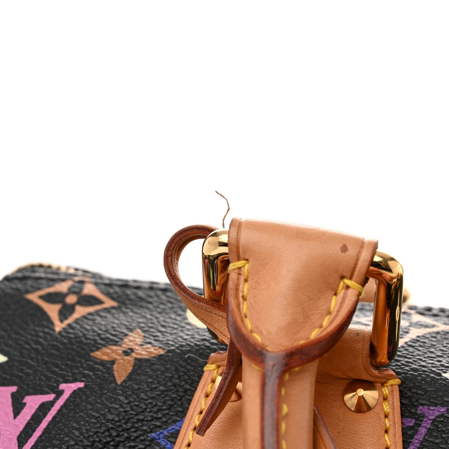 Monogram Multicolor Speedy 30 Black