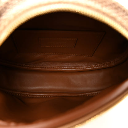 Saint Laurent Raffia Calfskin Round Camera Bag Golden Ecru Brick 5 of 9