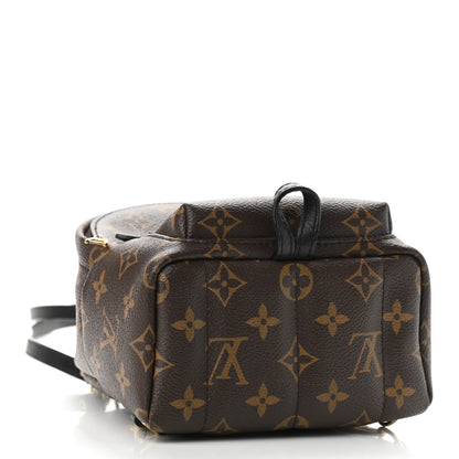 Louis Vuitton Monogram Palm Springs Backpack Mini 4 of 12
