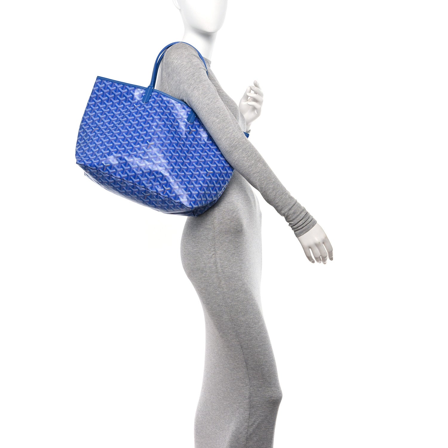 Goyard Goyardine Saint Louis PM Sky Blue 2 of 11