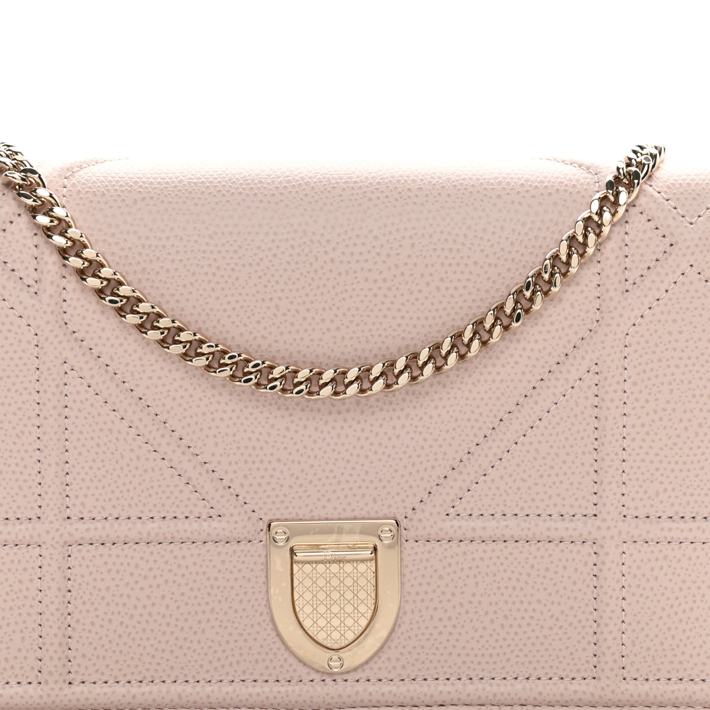 Grained Calfskin Diorama Wallet on Chain Pouch Nude