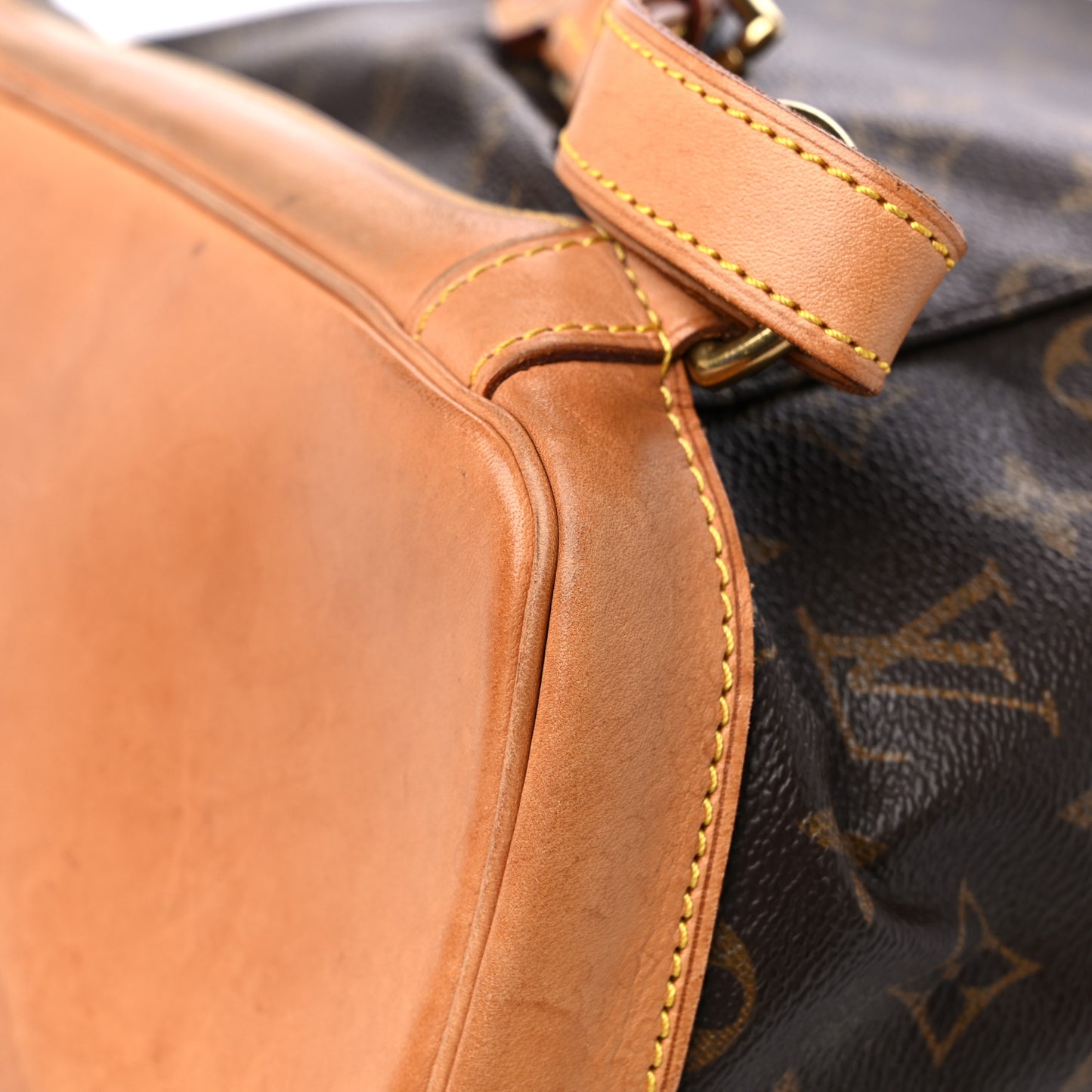 Monogram Montsouris GM Backpack