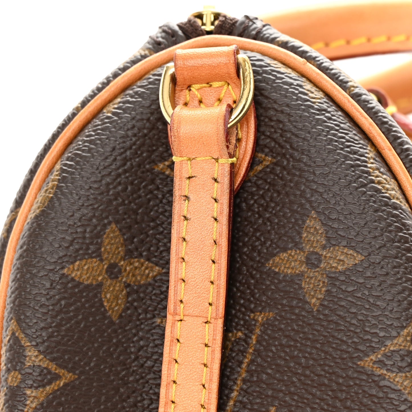 Monogram Nano Speedy