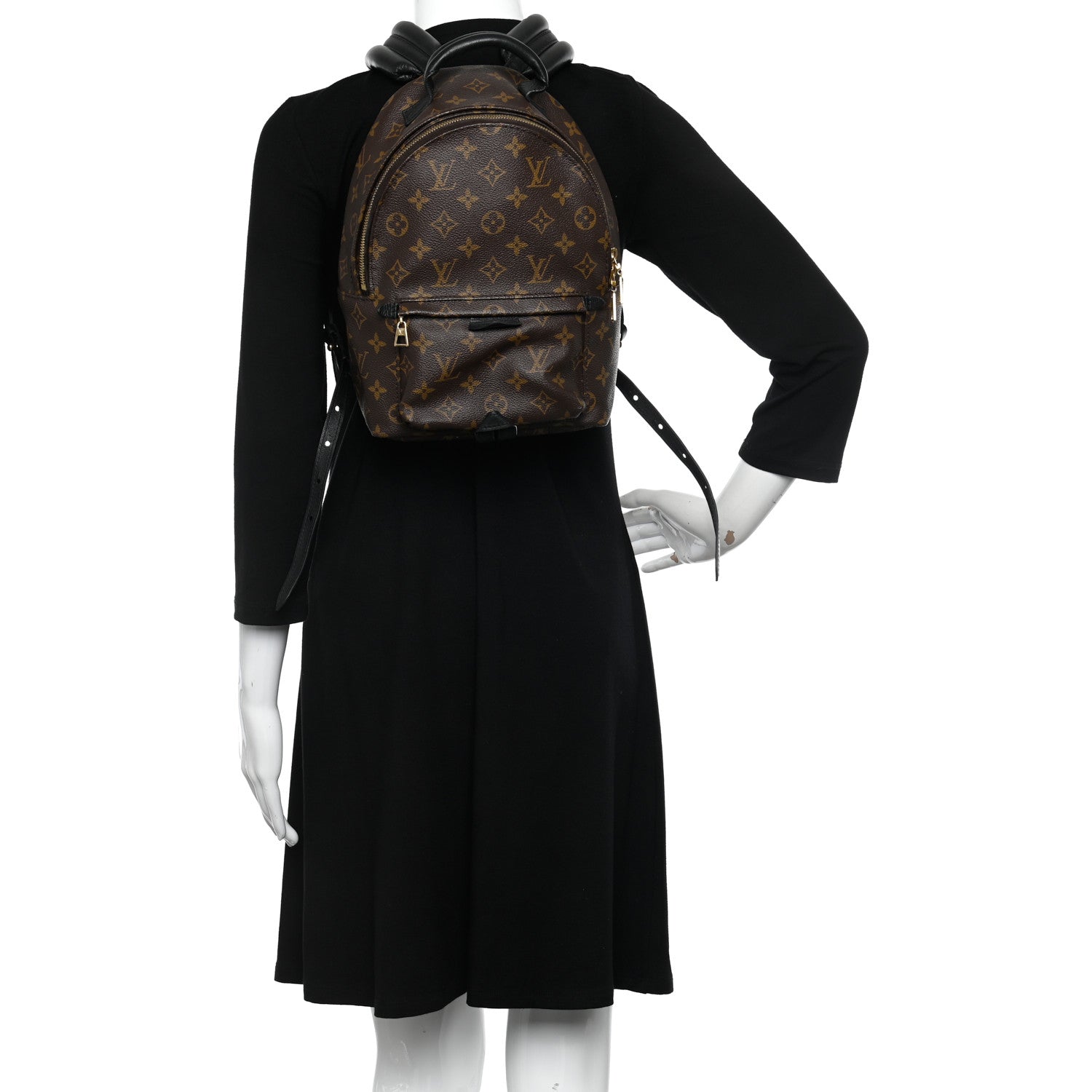 Louis Vuitton Monogram Palm Springs Backpack PM 2 of 11