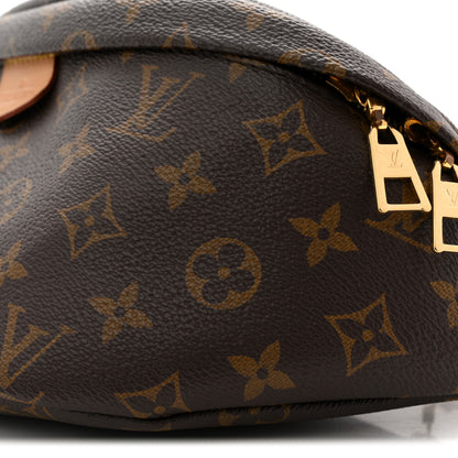 Louis Vuitton Monogram Bumbag 9 of 10